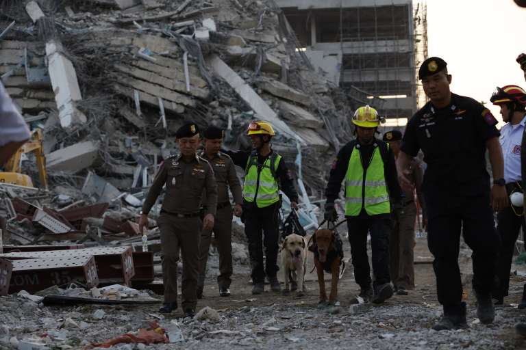 Bangkok (Thailand), 28/03/2025.- Rescue workers search for survivors with sniffer dogs at the site of a collapsed building following an earthquake in Bangkok, Thailand, 28 March 2025. According to the National Institute for Emergency Medicine, 70 construction workers are missing at the site following a 7.7-magnitude earthquake that struck Myanmar and caused tremors that could be felt in neighboring Thailand. (Terremoto/sismo, Birmania, Tailandia) EFE/EPA/RUNGROJ YONGRIT