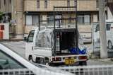 Capturan a un oso que obligó a cerrar casi 100 escuelas en Japón