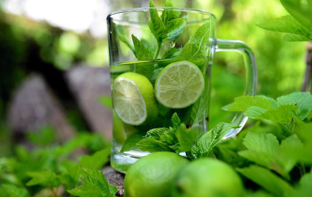 Imagen que muestra una infusión de menta con limón en un vaso transparente rodeado de hojas de menta y algunos limones enteros.