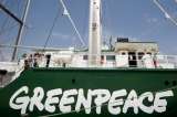 Más de 40 exempleados de Greenpeace denuncian acoso y abuso sexual dentro de esta ONG