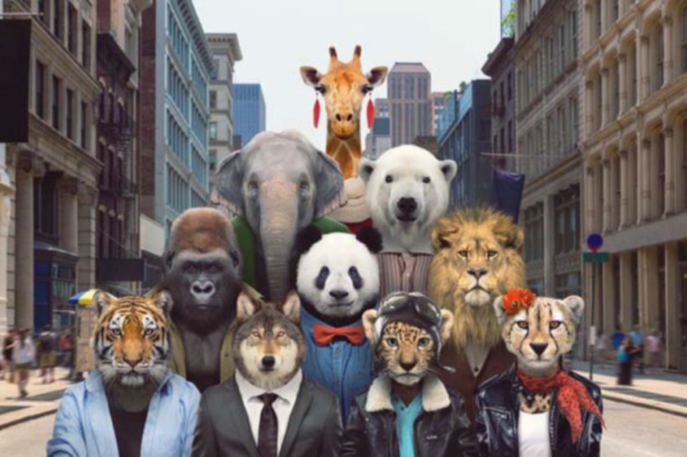 El león, el elefante y la jirafa son tres de los diez animales más carismáticos. Todos están en peligro de extinción. / Zoo Portraits