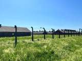 Auschwitz y Gaza