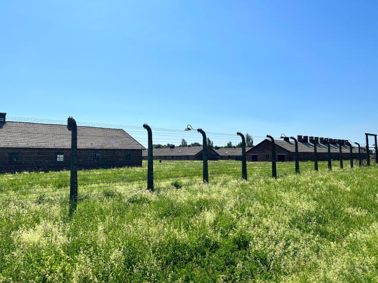 Auschwitz y Gaza