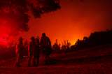 En imágenes: incendios en Chile cumplen una semana sin ser controlados
