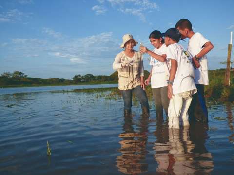 “Necesitamos un sistema nacional ambiental unido”: el llamado de Asocars a Minambiente