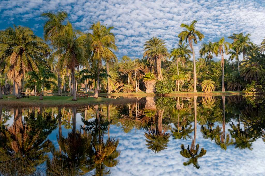 Turismo en Miami, naturaleza, Fairchild Tropical Botanic Garden