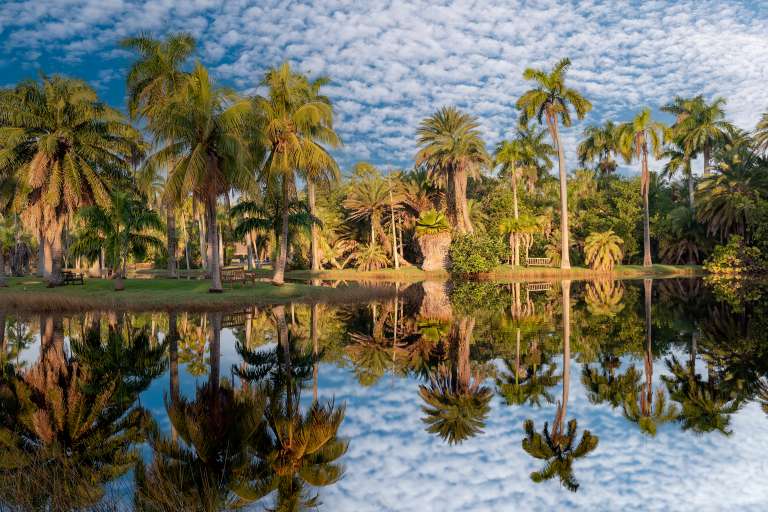 Turismo en Miami, naturaleza, Fairchild Tropical Botanic Garden