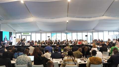 Estos fueron los puntos más importantes en el penúltimo día de la COP16