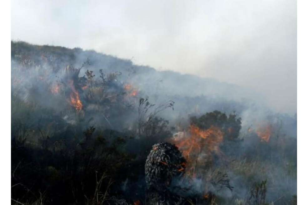 El incendio ocurrió en la finca conocida como Piedras Blancas, ubicada entre las veredas Juan Rodríguez y Volcanes. / Bomberos de Tona