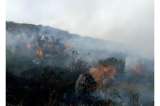Alrededor de 400 hectáreas se quemaron tras incendio en el páramo de Berlín, Santander