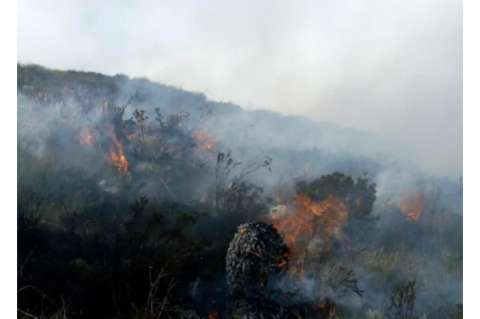 Alrededor de 400 hectáreas se quemaron tras incendio en el páramo de Berlín, Santander