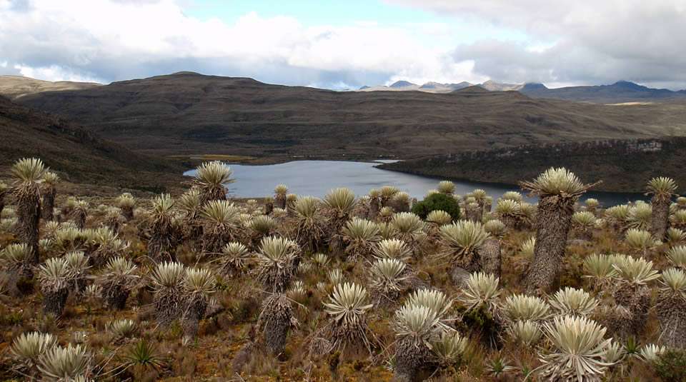 Páramo de Sumapaz