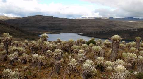CAR suspende actividades turísticas en áreas protegidas de los páramos de Sumapaz y Cruz Verde