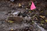 Identificaron a víctimas de la masacre en La Unión, Antioquia