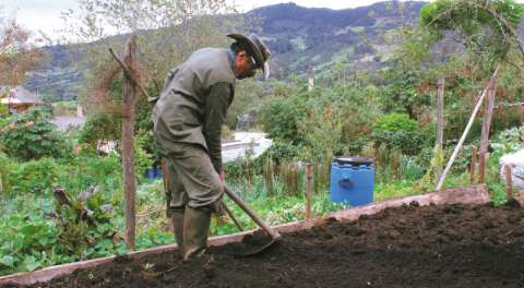 Raíz de la montaña: un panorama de la agricultura familiar en Colombia