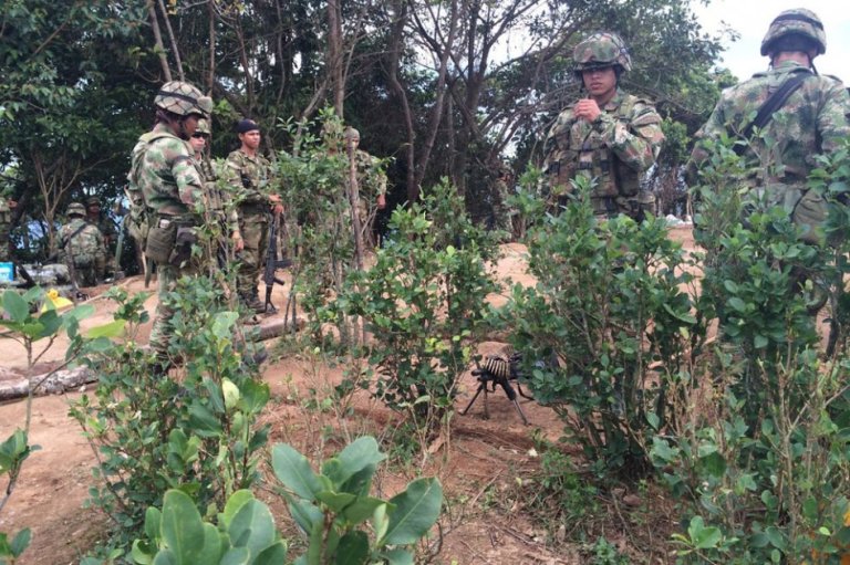 Colombia tiene que estudiar mucho más relación entre droga y conflicto: ONU