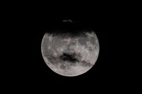 Luna del ciervo 2025: ¿cómo y cuándo verla desde Colombia?