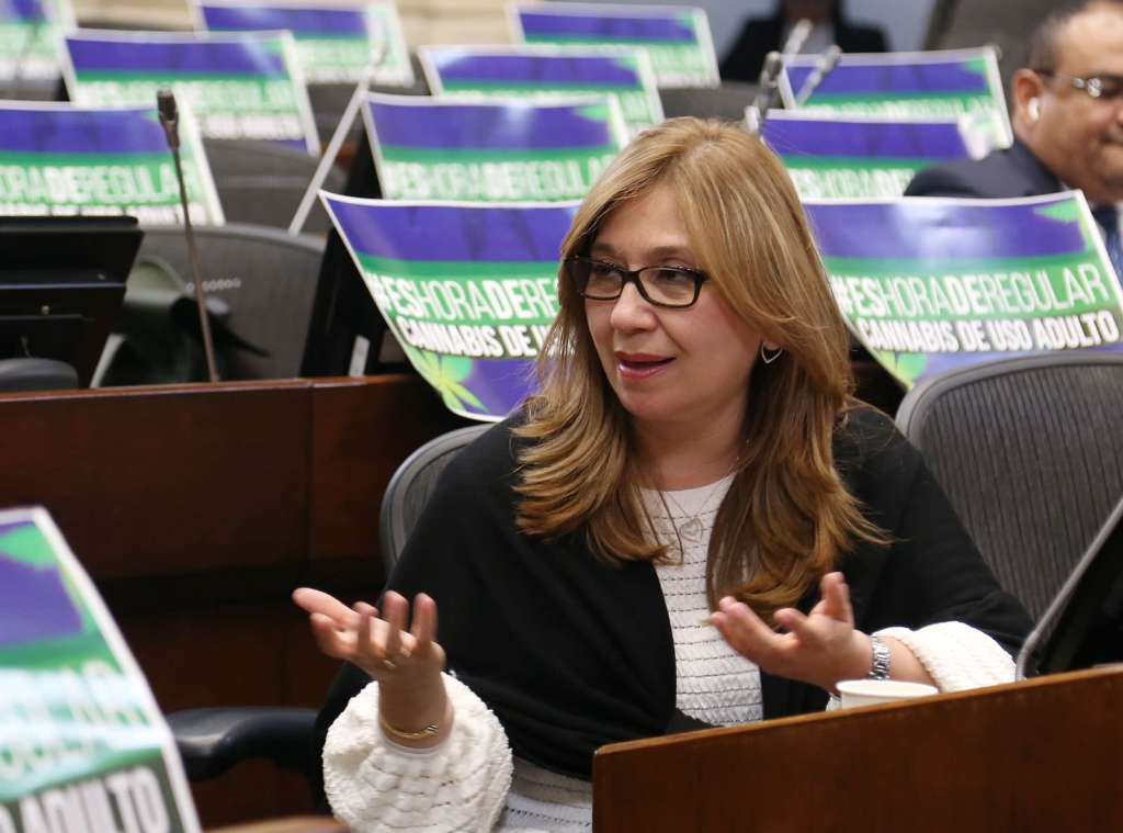 Norma Hurtado, senadora del Partido de la U.