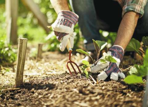 El potencial de los empleos verdes para conservar la biodiversidad en Colombia