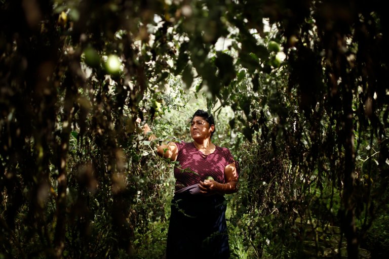 Desigualdad rural en el trabajo: la realidad de las mujeres en el campo