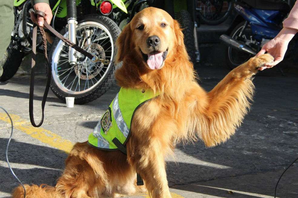 Policía de Bogotá