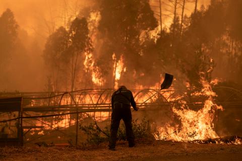 Incendios forestales en España queman otras 30.000 hectáreas