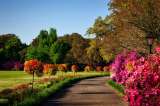 Tres jardines