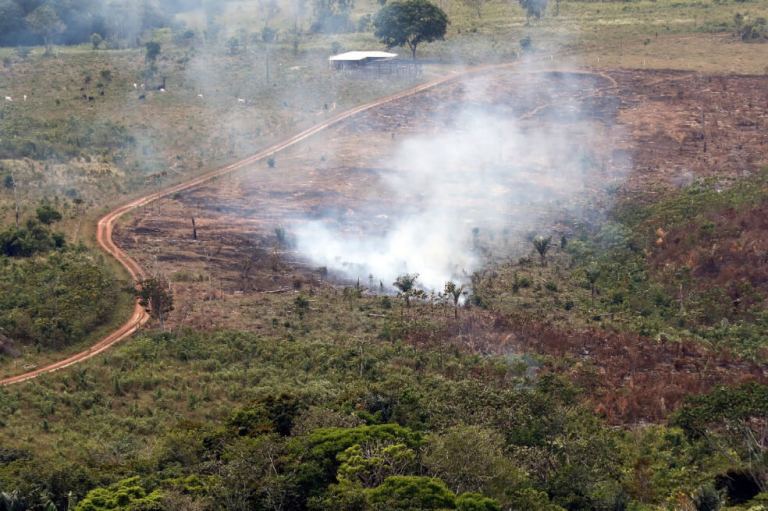 Las órdenes judiciales que buscan frenar deforestación en los parques Tinigua y Los Picachos