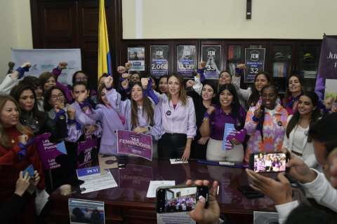 Las 54 representantes buscan una jurisdicción que investigue violencia contra la mujer