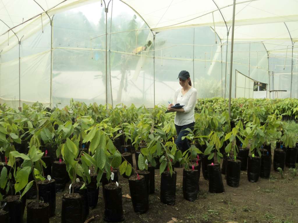 Loyla Rodríguez, doctora en fisiología vegetal.