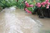 Alerta: se desbordó el río Magdalena en zona rural de Barrancabermeja (Santander)