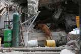 Fundaciones de animales que perdieron sus instalaciones en el terremoto: así puede ayudarlas