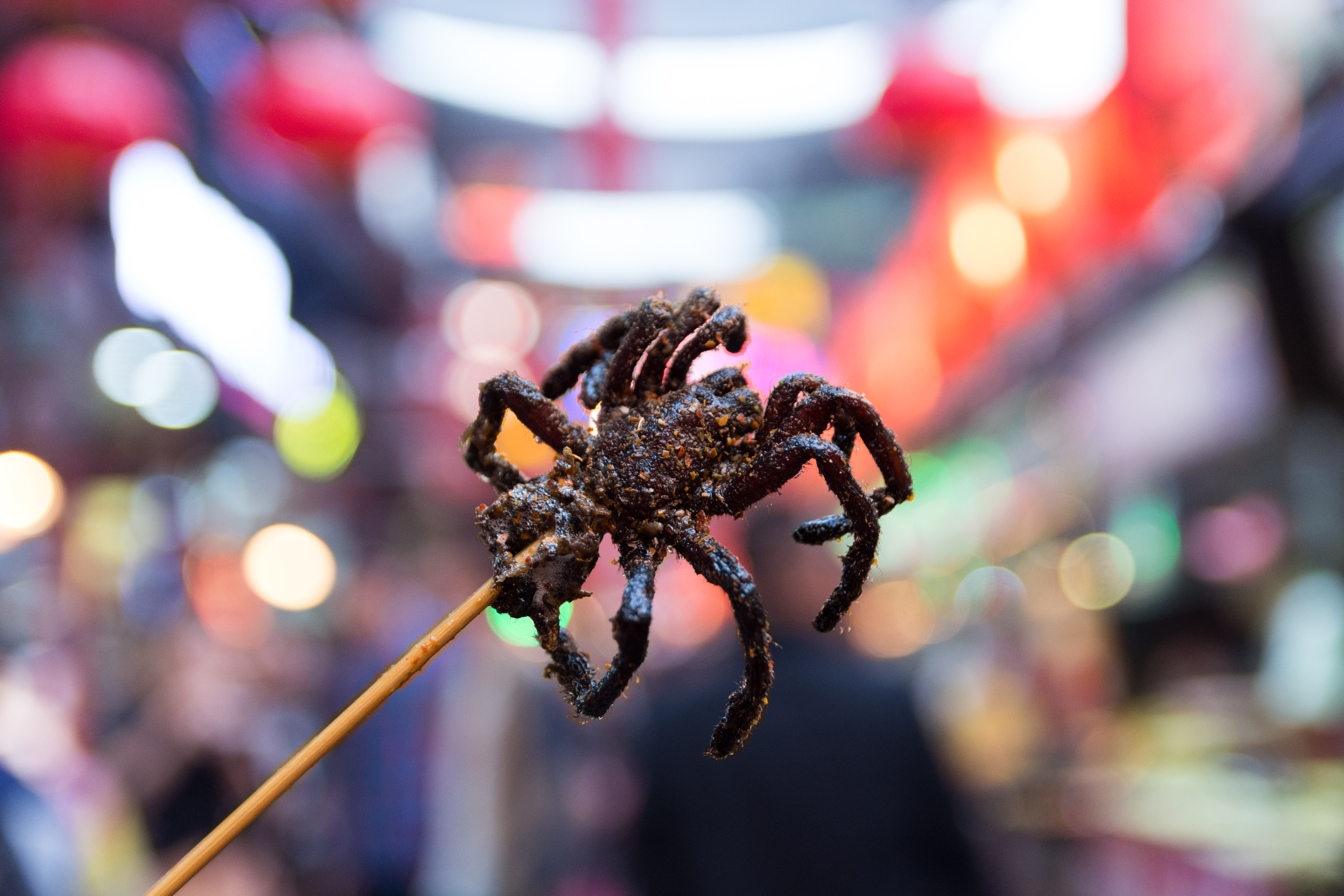 Tarántula frita