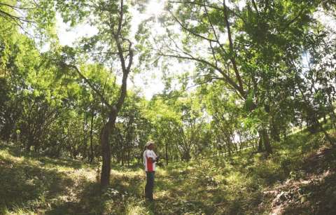 Indígenas pijaos curan el bosque seco tropical