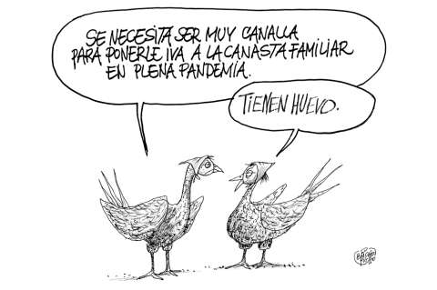 Alto turmequé: de nombramientos, candidaturas y otras especies