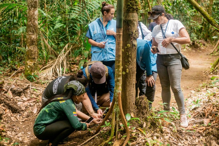 Firmantes del Acuerdo de Paz le apuestan al turismo natural, ahora faltan turistas
