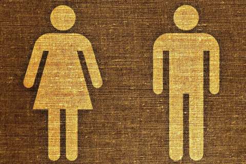 La búsqueda de equidad, libertad e igualdad necesita del pensamiento variado y crítico