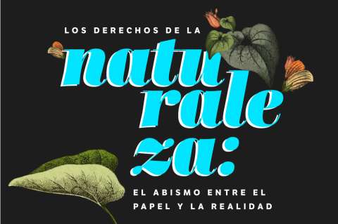 Los derechos de la naturaleza: el abismo entre el papel y la realidad