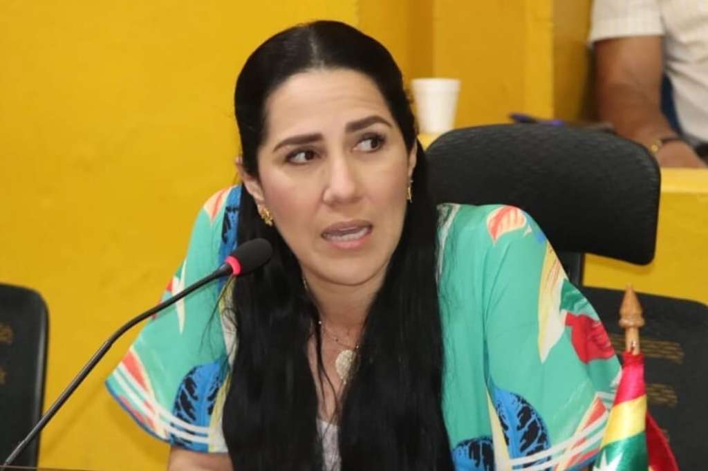 Debido a las intervenciones de Suárez, Germán Zapata, presidente del partido ASI en Bolívar, lamentó la intervención de la concejal. / Concejo de Cartagena