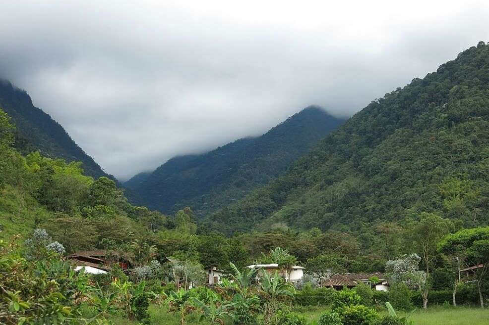 Fotografía del Parque Nacional Natural Farallones de Cali. / Wikimedia - Creative commons - Julianruizp
