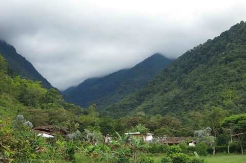 Cuatro capturados deja operativo contra la minería ilegal en el parque natural Farallones de Cali