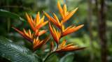 ¿Cómo podar una heliconia? Guía para darle forma y mantenerla saludable