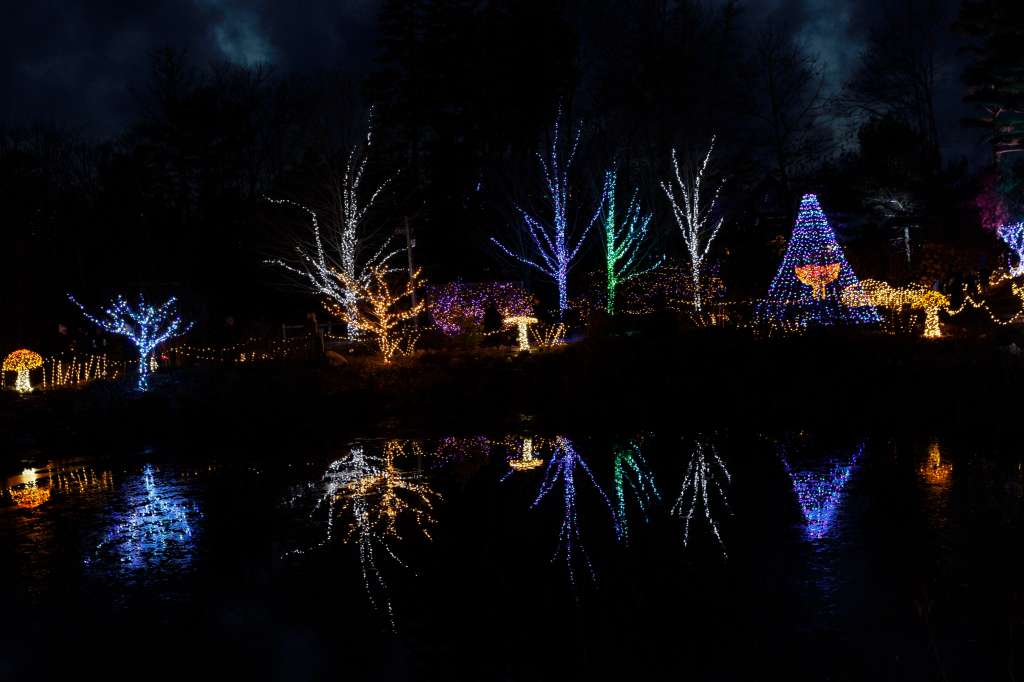 Boothbay (Estados Unidos), 09/12/2023.- Árboles iluminados y esculturas componen la exhibición de luces 'Gardens Aglow' en los Jardines Botánicos de la Costa de Maine en Boothbay, Maine, EE.UU.. EFE/CJ GUNTHER