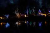 ¿Qué precio tiene la entrada al jardín botánico? Visita su alumbrado navideño