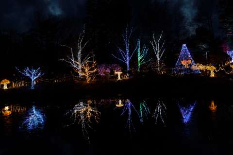 ¿Qué precio tiene la entrada al jardín botánico? Visita su alumbrado navideño