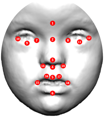 Los científicos registraron las coordenadas de un conjunto de 18 puntos de referencia anatómicos faciales alrededor de los labios, la nariz y los ojos. / Cortesía