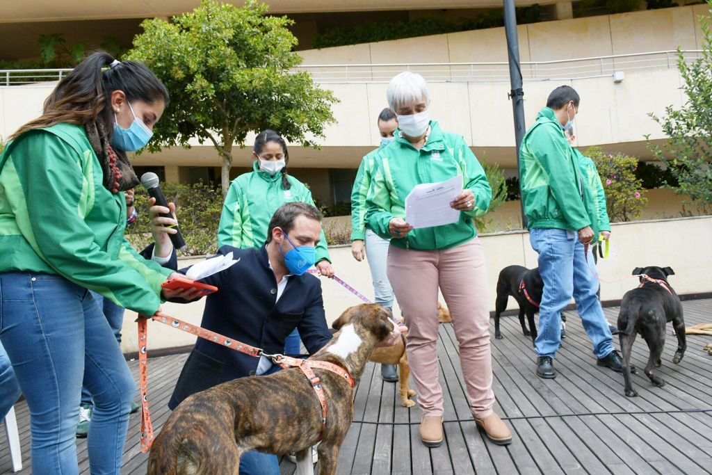 El secretario de Gobierno y la directora del IDPYBA junto a varios de los animales adoptados.