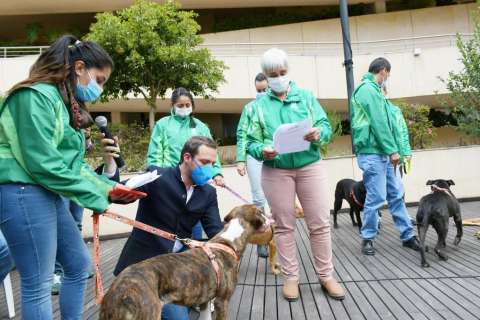 Nueva jornada de donación para refugios de animales en Bogotá, ¿cuándo y dónde?