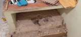 Impactante hallazgo del cuerpo de un profesor enterrado en cemento en Cajicá