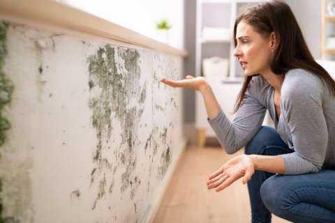Vinagre blanco: elimina el moho con esta preparación casera y fácil